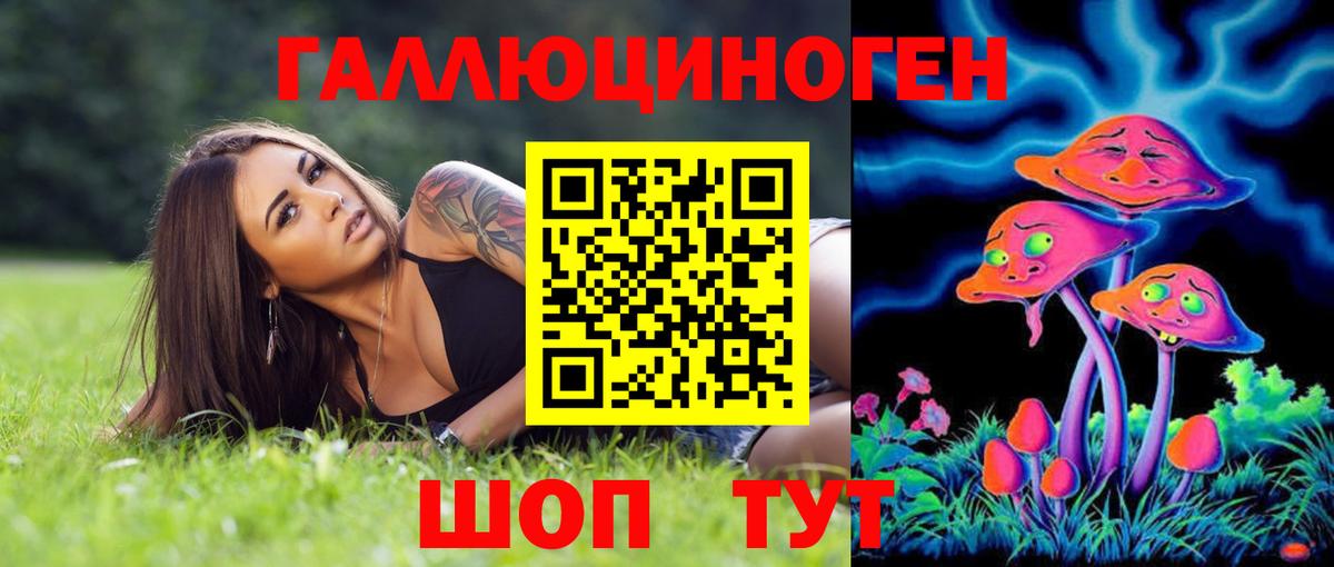 Салават  Псилоцибиновые грибы MAGIC MUSHROOMS  Вход с VPN 